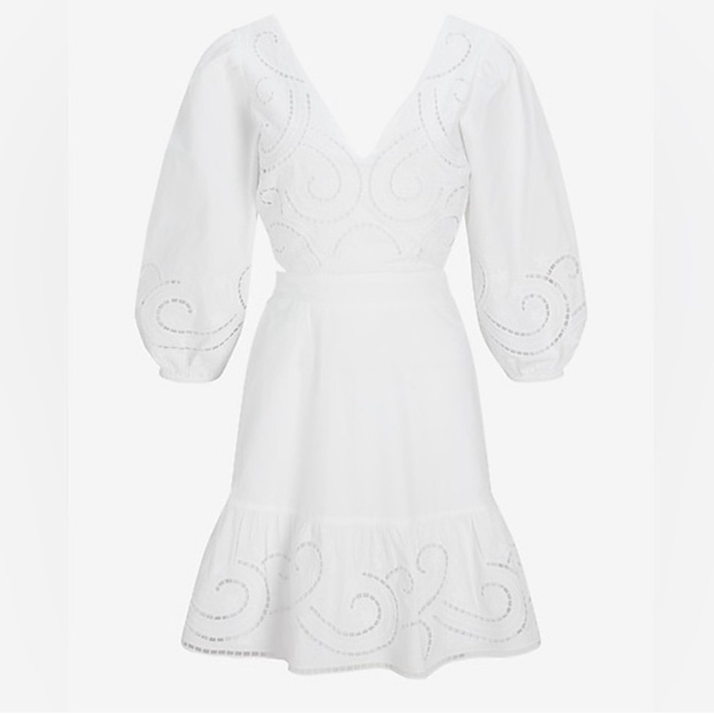 Embroidered Eyelet V-Neck Tie Back Poplin Mini Dress NWOT - Picture 3 of 3